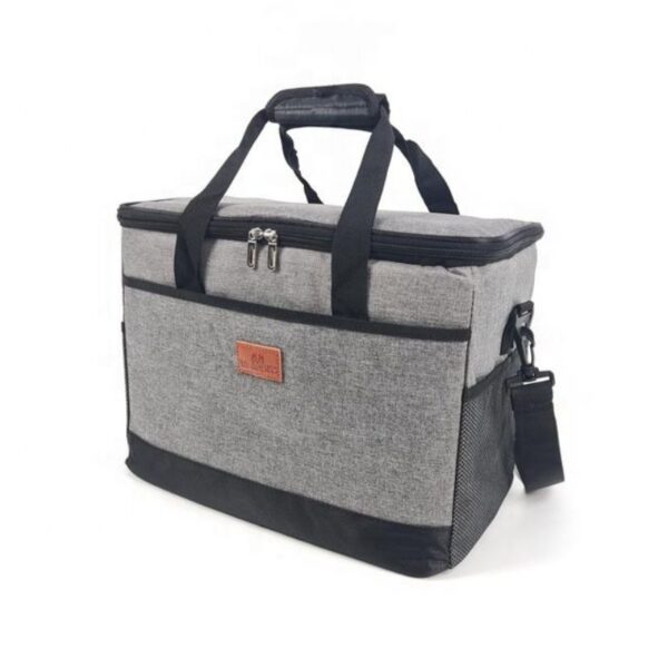 Insulated Lunch Picnic Cooler Bag (2)