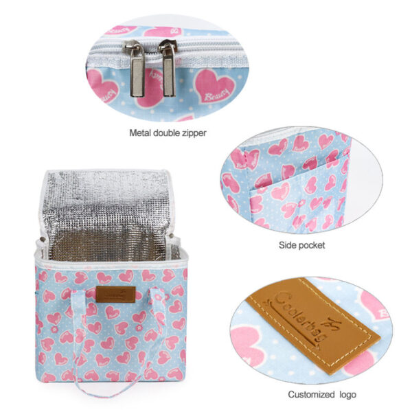 Waterproof Insulated Cooler Bag (1)